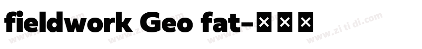 fieldwork Geo fat字体转换